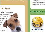 Graphic Designer, Brochure Design